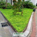 Tukang Taman Cikarang